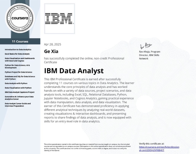 Professional Data Analyst Certificate